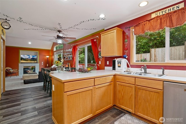 202 170th Pl SE, Bothell, WA 98012 - kitchen featuring stainless steel dishwasher, a sink, a glass covered fireplace, a ceiling fan, and a peninsula