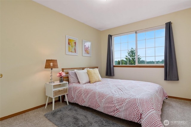 202 170th Pl SE, Bothell, WA 98012 - carpeted bedroom featuring baseboards