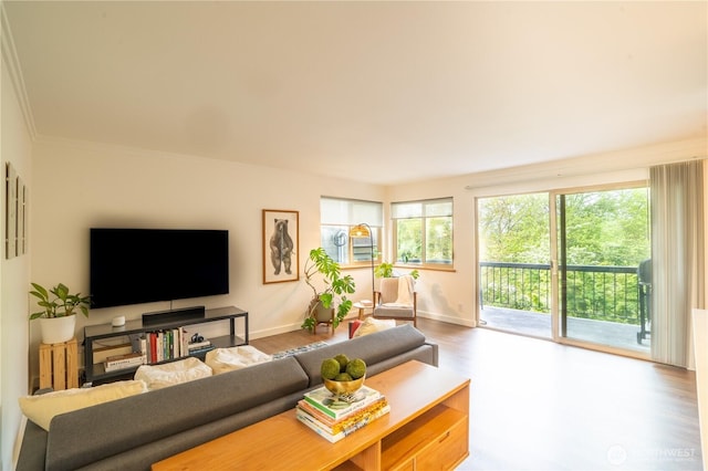 living room with healthy amount of natural light, wood finished floors, baseboards, and ornamental molding