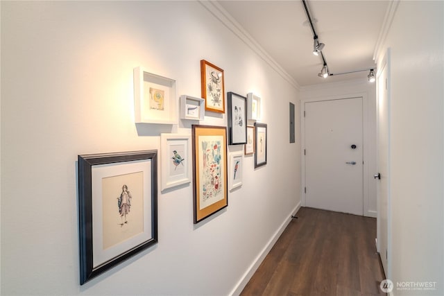 hall featuring track lighting, dark wood-type flooring, crown molding, and baseboards