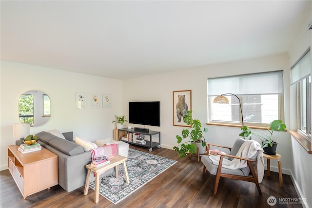 living room featuring baseboards, wood finished floors, and ornamental molding