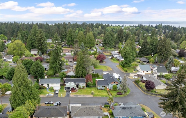 20113 4th Pl S, Des Moines, WA 98198 - view of property location with nearby suburban area and a nearby body of water
