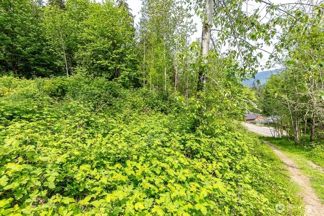 333 W Alder Dr, Sedro Woolley, WA 98284