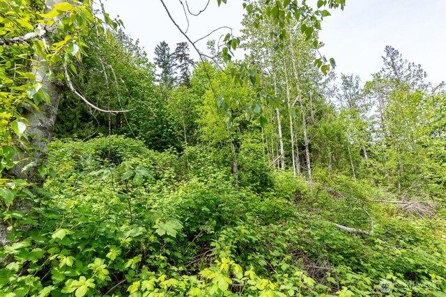333 W Alder Dr, Sedro Woolley, WA 98284