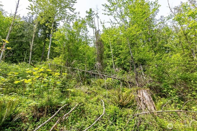 333 W Alder Dr, Sedro Woolley, WA 98284