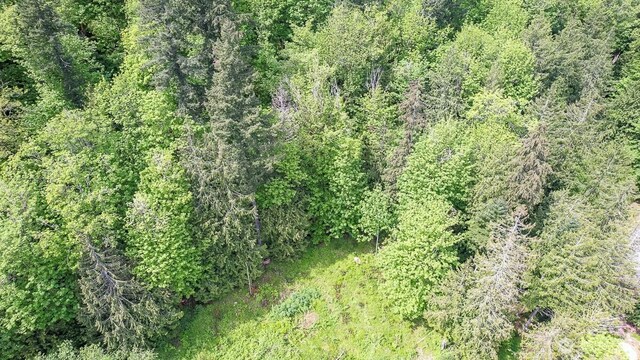 333 W Alder Dr, Sedro Woolley, WA 98284