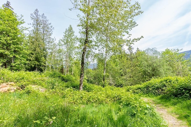 333 W Alder Dr, Sedro Woolley, WA 98284
