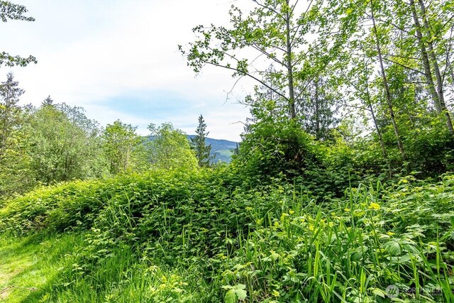 333 W Alder Dr, Sedro Woolley, WA 98284