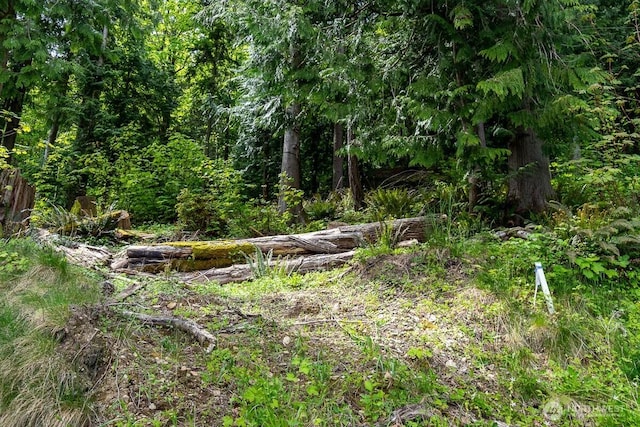 0 W Alder Rd, Sedro Woolley, WA 98284