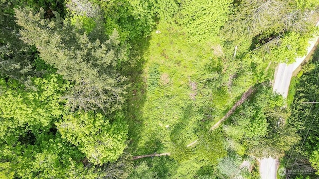 0 W Alder Rd, Sedro Woolley, WA 98284