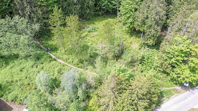 0 W Alder Rd, Sedro Woolley, WA 98284