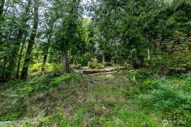 0 W Alder Rd, Sedro Woolley, WA 98284