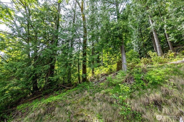 0 W Alder Rd, Sedro Woolley, WA 98284