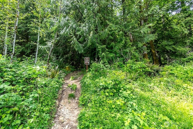 0 W Alder Rd, Sedro Woolley, WA 98284