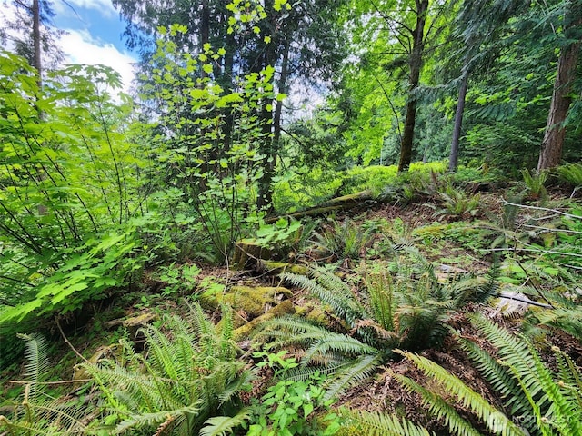 0 W Alder Rd, Sedro Woolley, WA 98284