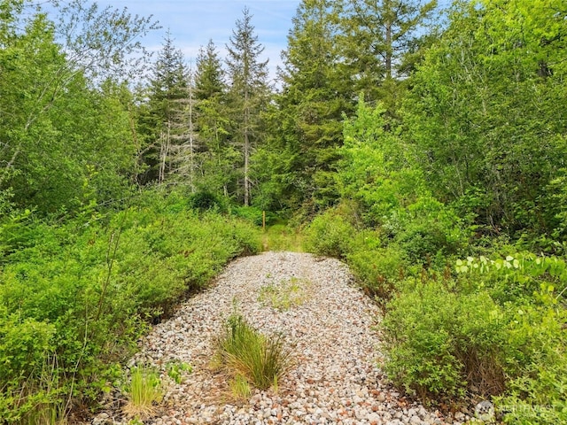 1108 196th St NW, Lakebay, WA 98349 - photo 4