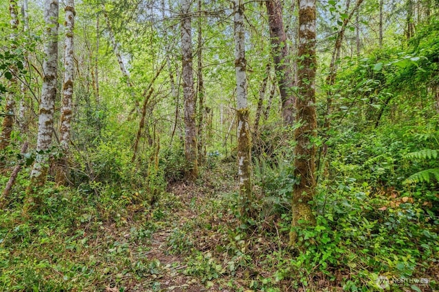 1108 196th St NW, Lakebay, WA 98349 - photo 15