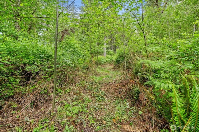 1108 196th St NW, Lakebay, WA 98349 - photo 20