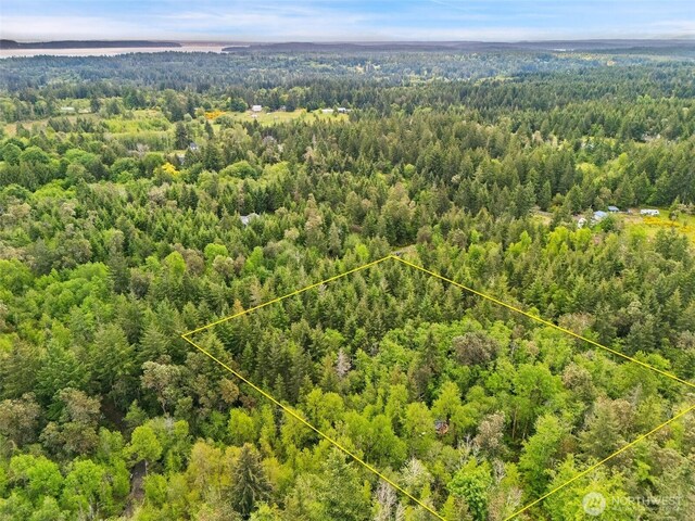 1108 196th St NW, Lakebay, WA 98349 - photo 23