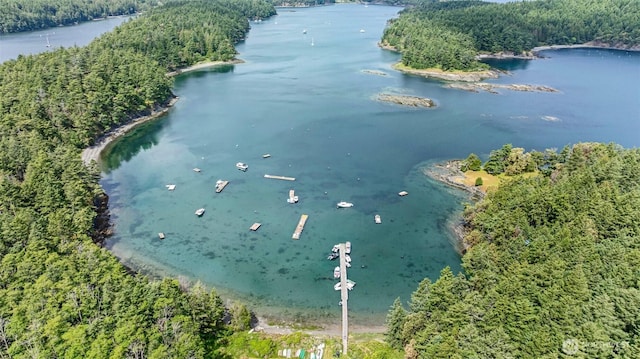 35 N Airport Way, Stuart Island, WA 98250 - aerial view of property's location with a nearby body of water and a forest