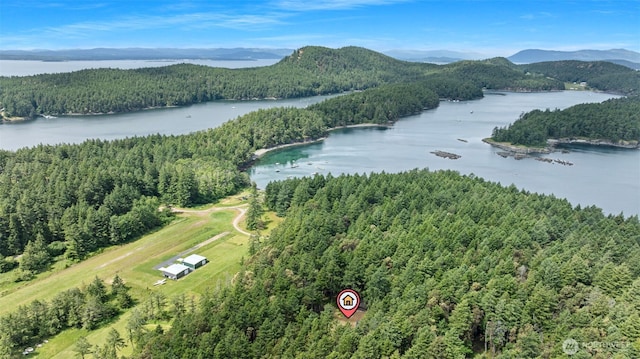 35 N Airport Way, Stuart Island, WA 98250 - bird's eye view of a heavily wooded area and a water and mountain view