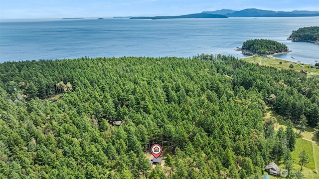 35 N Airport Way, Stuart Island, WA 98250 - drone / aerial view of a water and mountain view
