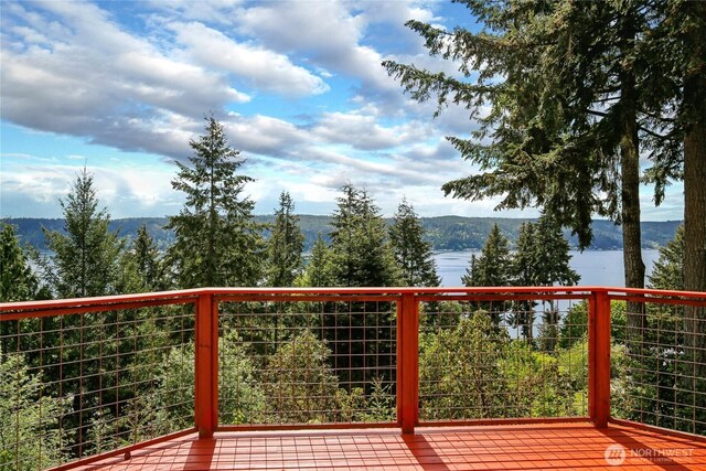 50 NE Alta Vista Dr, Belfair, WA 98528 - photo 27
