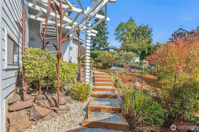 4441 53rd Ave SW, Seattle, WA 98116 - view of yard