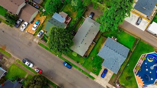 bird's eye view