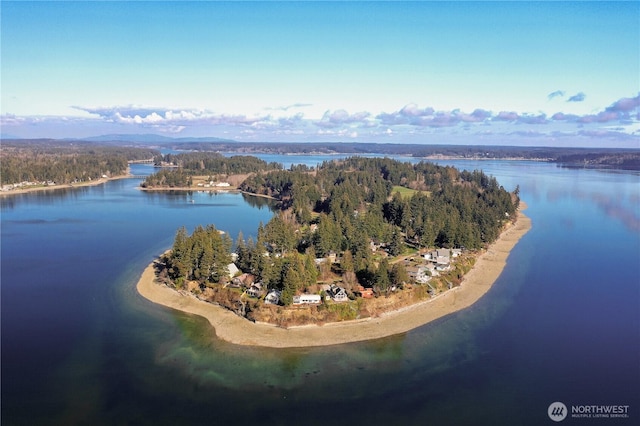 aerial view of a nearby body of water and a forest
