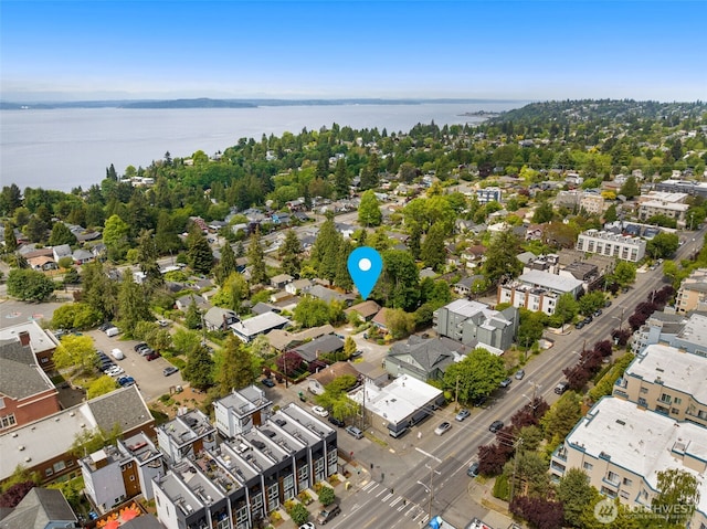 4319 SW Mills St, Seattle, WA 98136 - aerial view of a nearby body of water