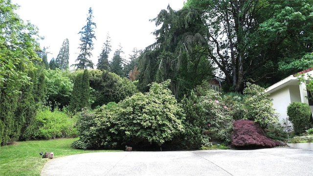 11950 NE 36th Pl, Bellevue, WA 98005 - view of home's community featuring a yard