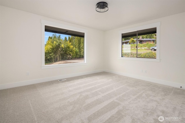 13011 92nd St SE, Snohomish, WA 98290 - photo 27