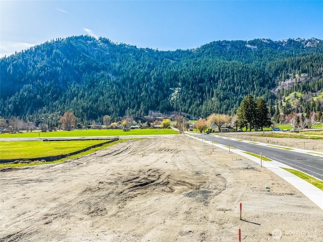 139 Alpenglow Dr, Leavenworth, WA 98826 - photo 4