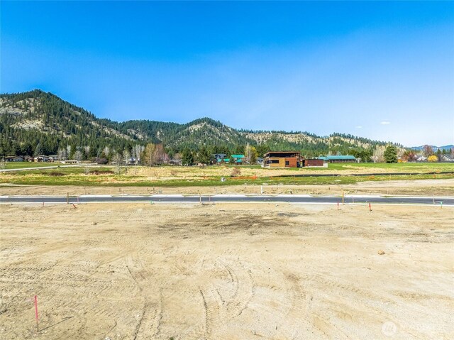 139 Alpenglow Dr, Leavenworth, WA 98826 - photo 6