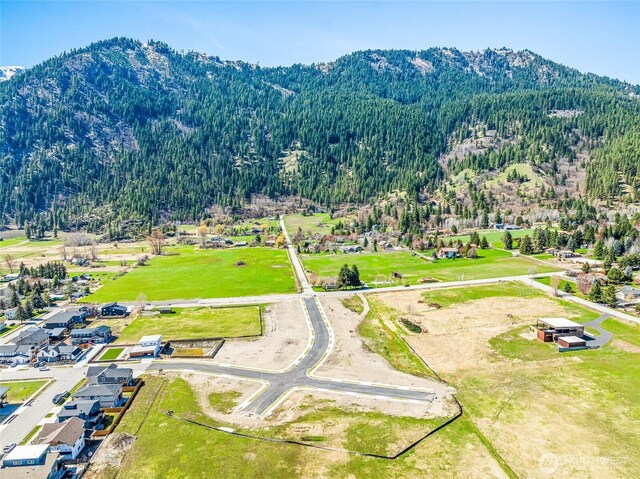 139 Alpenglow Dr, Leavenworth, WA 98826 - photo 9