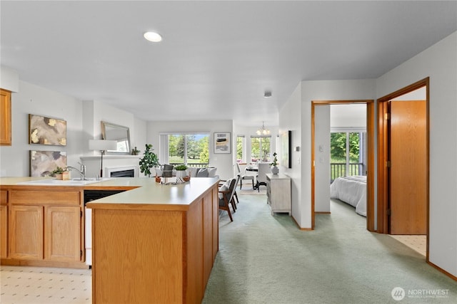 236 W Maberry Dr Unit 102, Lynden, WA 98264 - kitchen featuring a fireplace, a sink, healthy amount of natural light, and light countertops