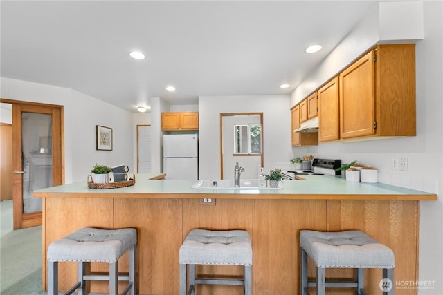236 W Maberry Dr Unit 102, Lynden, WA 98264 - kitchen with white appliances, a sink, a peninsula, under cabinet range hood, and light countertops