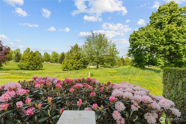 236 W Maberry Dr Unit 102, Lynden, WA 98264 - view of yard