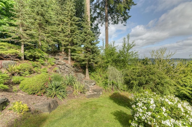 6538 Young Rd NW, Olympia, WA 98502 - photo 3