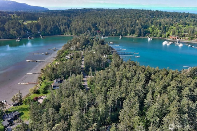 120 De Haro Ln, Friday Harbor, WA 98250 - photo 39