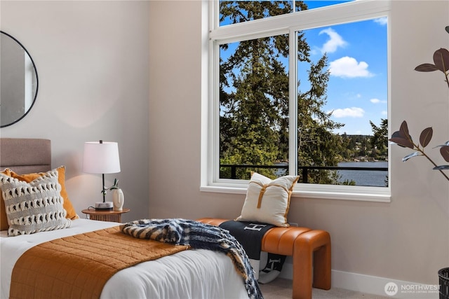 bedroom featuring baseboards
