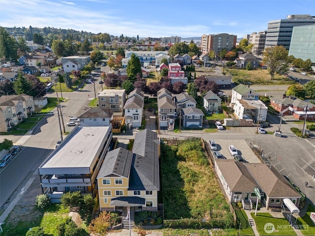 aerial perspective of suburban area
