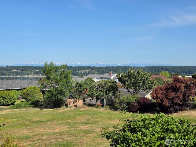 1260 S Karl Johan Ave, Tacoma, WA 98465 - view of green lawn with a water view