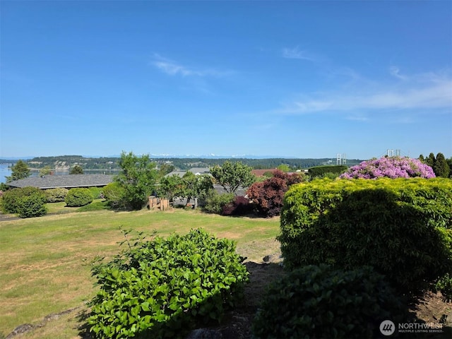 1260 S Karl Johan Ave, Tacoma, WA 98465 - view of grassy yard