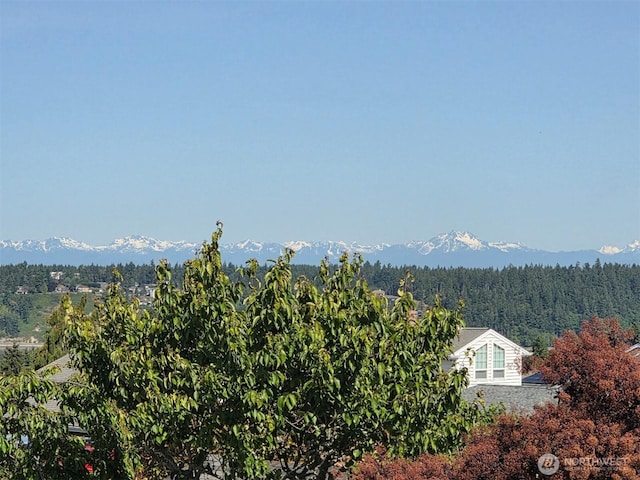 1260 S Karl Johan Ave, Tacoma, WA 98465 - view of mountain background with a heavily wooded area
