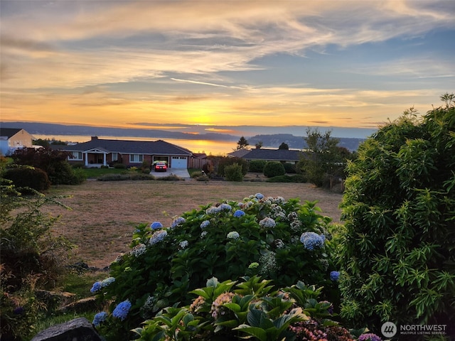 1260 S Karl Johan Ave, Tacoma, WA 98465 - view of yard at dusk