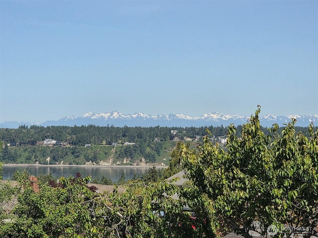 1260 S Karl Johan Ave, Tacoma, WA 98465 - view of mountain backdrop featuring a nearby body of water and a heavily wooded area