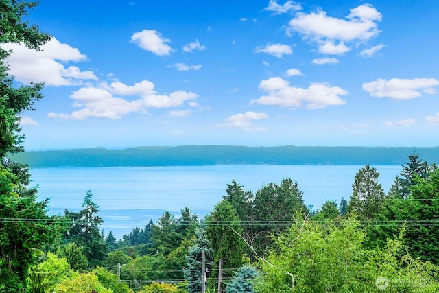 11515 Greenwood Ave N Unit B, Seattle, WA 98133 - water view with a forest