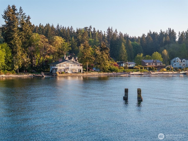 9788 Manitou Beach Dr NE, Bainbridge Island, WA 98110 - water view with a forest